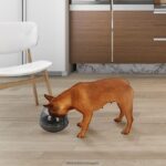 дом и начин на живот бг BLACK+DECKER бавна хранилка, люлееща се купа за кучета, един размер черен V8R6ZD241