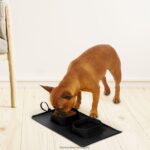 дом и начин на живот бг BLACK+DECKER двойна купа за пътуване за домашни любимци 2x2 чаша V8R6ZD245