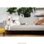 дом и начин на живот бг BLACK+DECKER препарат за премахване на косми от домашни любимци V8R6ZD224 - Image 3