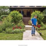 на открито бг BLACK+DECKER 20v макс тример за подстригване/кантиране 12 инча V8R6ZD479 - Image 5