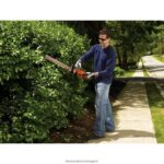 на открито бг BLACK+DECKER 20v max акумулаторна ножица за жив плет 22 инча V8R6ZD505