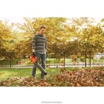 на открито бг BLACK+DECKER 20v max вентилатор за листа аксиален 2.0-ah V8R6ZD430