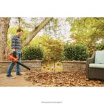 на открито бг BLACK+DECKER 20v max вентилатор за листа аксиален 2.0-ah V8R6ZD430 - Image 4