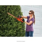 на открито бг BLACK+DECKER Батерия и зарядно устройство за безжична ножица за жив плет от 20v са включени V8R6ZD502