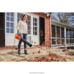 на открито бг BLACK+DECKER вентилатор за листа аксиален 9-ам V8R6ZD445 - Image 4