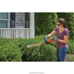 на открито бг BLACK+DECKER ножица за жив плет с електрически трион 22 инча V8R6ZD509 - Image 3
